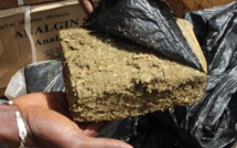 Saly : démantèlement d'un réseau de trafic de drogue avec la saisie de 78 kg de chanvre indien