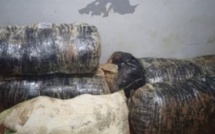 Entre Mbour et Sédhiou, la gendarmerie fait une saisie de 140 kilos de chanvre indien