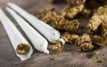 Mbour: un policier à la retraite arrêté devant «son» ancien commissariat avec du chanvre indien 