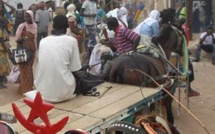 Grand-Dakar: un charretier condamné à six mois de prison pour avoir frappé un homme avec une pelle