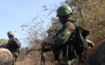 Boko Haram sous pression à la frontière camerouno-nigériane