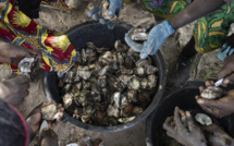 Joal Fadiouth : inauguration du premier bassin de dégorgement des huîtres