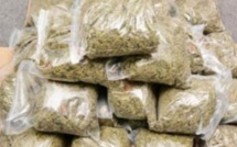 Trafic de drogue: un caïd nigérian, libéré sous grâce présidentielle, retombe dans les filets de la justice sénégalaise