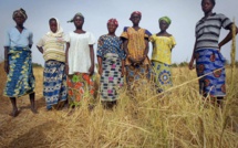 Journée internationale de la femme rurale : Kaolack réclame des assises de l’Agriculture et du foncier