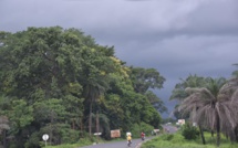 La Casamance, un paradis vert qui s'enlise dans la pauvreté (Par Nicolas Silandibithe Bassène)