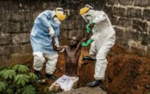 Ebola : le bilan d'un an