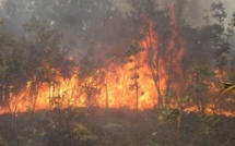 Ranch de Dolly: un feu de brousse ravage plus de 15 hectares
