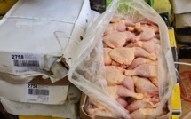 L'aviculture sénégalaise menacée par les importations frauduleuses de poulets congelés
