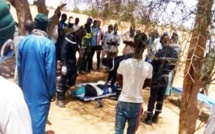 Violente altercation entre agriculteurs et bergers à Bidiyatt : un paysan perd la vie dans l'affrontement