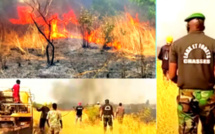 Violent incendie de brousse à Matam: des hectares de tapis herbacé emportés
