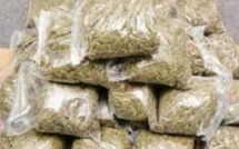 Trafic de drogue à Grand Médine: deux individus arrêtés suite à une dénonciation 