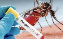 Dakar: 57 cas de dengue recensés dans le département de Pikine 