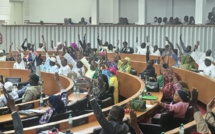 Agriculture : la distribution des intrants, du matériel agricole, le prix de l’arachide au cœur des débats à l'Assemblée