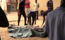 Découverte Macabre dans la Forêt de Gassane: le corps sans vie d’un homme le crâne fracassé retrouvé 