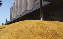 Cameroun: imbroglio commercialo-juridique autour d'une cargaison de blé offerte par la Russie à la Centrafrique