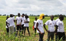 Emploi et insertion des jeunes : le projet "feed the future Sénégal Yiriwaa" lancé à Ziguinchor