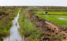 Résilience Vallée du fleuve Sénégal: la Banque mondiale annonce une contribution de plus 117 milliards F Cfa