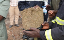 ​Ziguinchor : arrêté avec 04 camelotes de 125 g de chanvre indien, le pêcheur Assane Mboup vend la mèche