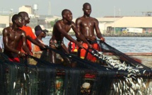 Pêche artisanale : les acteurs appelés à la préservation de la ressource halieutique