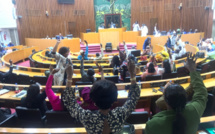 L’Assemblée nationale approuve la résolution pour une mise en place d'une commission d’enquête parlementaire
