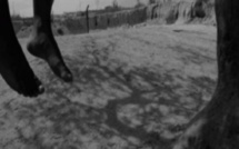 Linguère : Un jeune homme de 25 ans retrouvé mort pendu à un arbre