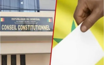 « Le Conseil constitutionnel n’a pas pleinement assumé ses responsabilités », selon un spécialiste du droit