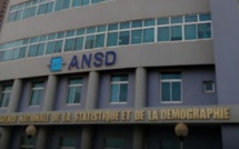 Immatriculation au Ninea : le nombre d’unités économiques en hausse de 9,4% (ANSD)