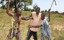 Affaire de meurtre à Barkedji : un père et son fils arrêtés pour avoir battu à mort un jeune homme