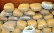Golf-Sud : un baron de la drogue arrêté avec 23,5 kg de chanvre indien par la police