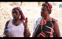 Ndiaganiao : témoignages sur la vie de Bassirou Diomaye Faye