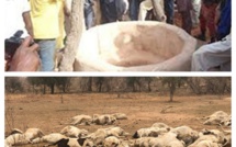 Drame à Kanel : une jeune fille de 26 ans se suicide en se jetant dans un puits après avoir perdu tout son troupeau