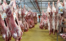 Préparatifs de la Tabaski : l'Arabie Saoudite octroie 10.000 carcasses de moutons au Sénégal