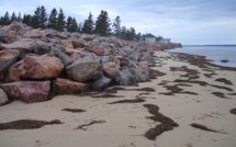 Érosion côtière du littéral Sud : les experts pointent du doigt le changement climatique 