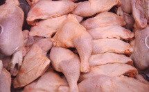 Keur Madiabel :  Les aviculteurs alertent sur la vente des cuisses de poulets contaminés sur le marché