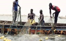 Publication des licences de pêche, réglementation… : « Il n’y a pas de surveillance dans les côtes sénégalaises » (Ibrahima Mar)