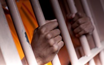 «Nous sommes inquiets pour Saliou Niang», (Article 19)