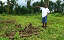 Au Liberia, Ebola aurait accéléré l’accaparement des terres