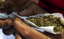 Offre ou cession de drogue : Pape Abdou Faye condamné à 3 mois de prison ferme, ses amis écopent 7 jours fermes