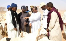 Préparatif de la Tabaski 2024 : " le Sénégal a déja comblé plus de 50 % du déficit en moutons á résorber" (Mabouba Diagne)