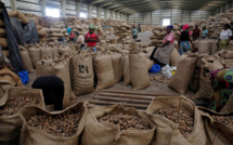 Ziguinchor : la levée de l’interdiction de l’exportation de l’anacarde par voie terrestre décriée