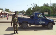 Boko Haram: la force mixte multinationale presque en ordre de bataille