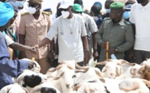 Foirail de Dahra : le Secrétaire d’État aux Coopératives et à l’Encadrement paysan demande aux éleveurs de rembourser leur dette de 600 millions de Fcfa