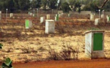 ​Litige foncier à Linguère : les éleveurs mettent en garde le maire 