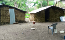 Casamance-Boussoloume : le village "fantôme" retrouve ses habitants qui avaient fuient la guerre 33 ans après 