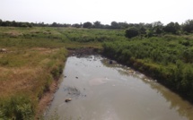 Tambacounda : un enfant de huit (8) ans emporté par les eaux de la vallée du Mamacounda, son corps introuvable