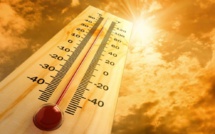 Vague de chaleur au Sénégal : « il faut éviter les ventilateurs... », Dr Serigne Fallou Samb