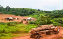 ​Exploitation illégale du domaine forestier à Niamone : les six (6) personnes mises en cause envoyées en prison