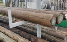 Mbour : un commerçant vole plus de 50 poteaux électriques pour les revendre