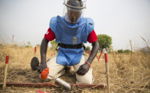 Ziguinchor : des mines antipersonnel découvertes à Niassya