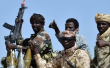 Boko Haram : les soldats nigérians victorieux saluent leurs frères camerounais et tchadiens